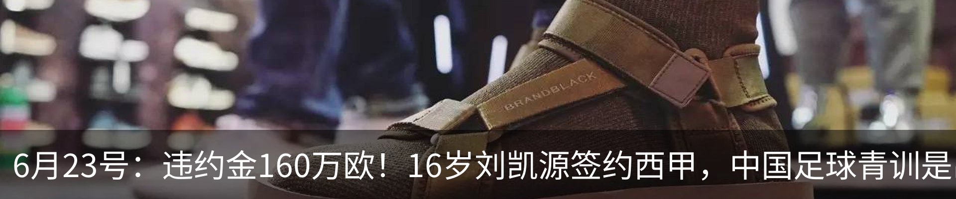 最新动态